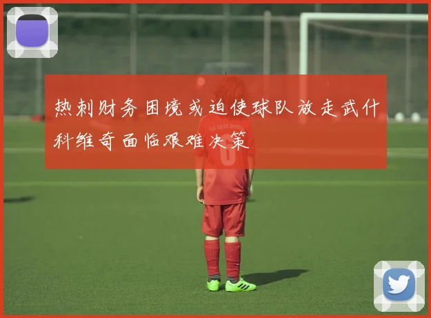 热刺财务困境或迫使球队放走武什科维奇面临艰难决策