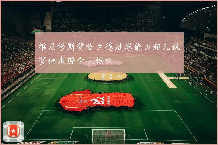 维尼修斯赞哈兰德进球能力超凡祝贺他表现令人惊叹